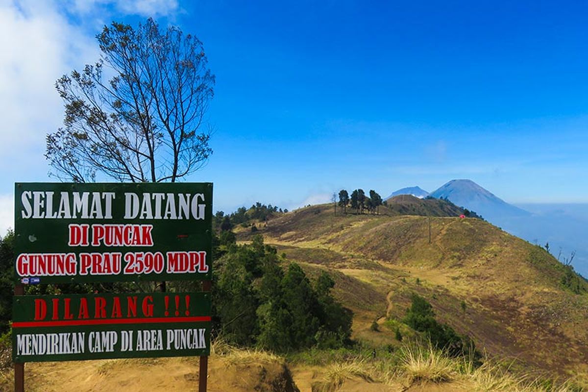 Trip Pendakian Gunung Prau – Sunrise of Java